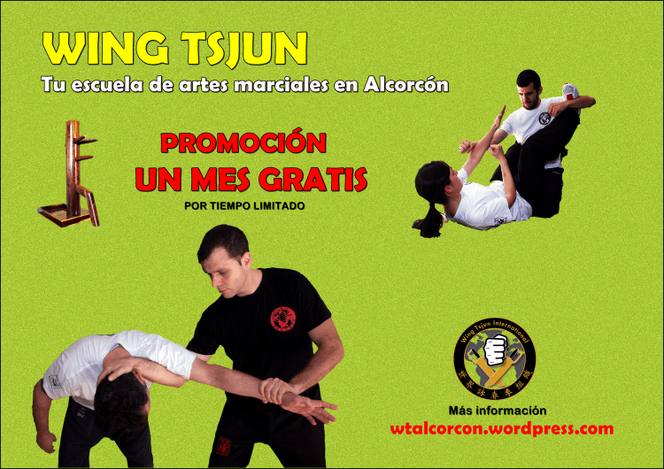 Promo Wing Tsjun