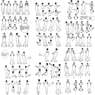 1100px-WingChun_ChumKiu