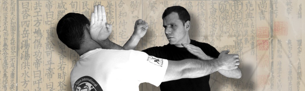 kung fu, wing chun
