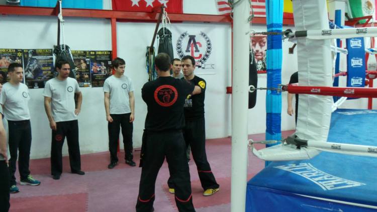 13308633_1749785998577017_2957411585306564824_o